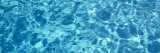 Water in a Swimming Pool, Sacramento, California, USA Photographic Print by Panoramic Images 
