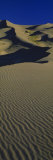 Sand Dunes in the Desert, Great Sand Dunes National Monument, San Luis Valley, Colorado, USA Photographic Print by Panoramic Images