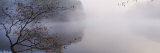 Reflection of Trees in a Lake, Lake Vesuvius, Wayne National Forest, Ohio, USA Photographic Print by Panoramic Images Reflection of Trees in a Lake, Lake Vesuvius, Wayne National Forest, Ohio, USA Photographic Print by Panoramic Images