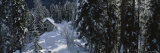 Snowcapped Lodge in the Forest, Yoho National Park, British Columbia, Canada Photographic Print by Panoramic Images 
