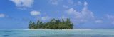 Palm Trees on an Island, Bora Bora, French Polynesia Photographie par Panoramic Images 