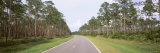 Trees on Both Sides of a Road, Okefenokee National Wildlife Refuge, Georgia, USA Photographic Print by Panoramic Images 