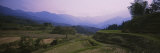 Rice Field, Japan Lámina fotográfica por Panoramic Images Rice Field, Japan Lámina fotográfica por Panoramic Images