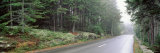 Trees on Both Sides of a Road, Park Loop Road, Acadia National Park, Maine, USA Photographic Print by Panoramic Images 