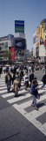 People Crossing a Road at Zebra Crossing, Tokyo, Japan Photographic Print by Panoramic Images 