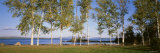 Trees along a Lake, Moosehead Lake, Maine, USA Photographic Print by Panoramic Images 