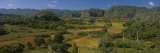 Valle de Vinales, Pinar del Rio, Cuba Photographic Print by Panoramic Images 