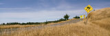 Country Road Passes through a Landscape Photographic Print by Panoramic Images 