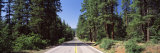 Highway Passing through the Forest, Highway 89, California, USA Photographic Print by Panoramic Images 