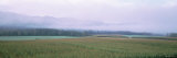 Cornfields, Stowe, Vermont, USA Photographic Print by Panoramic Images 