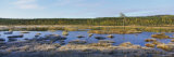 Puddle in the Forest, Swedish Lapland, Sweden Photographic Print by Panoramic Images 