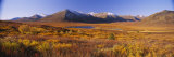 Hills on a Landscape, Yukon, Canada Photographic Print by Panoramic Images 
