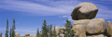 Trees near Rock Formations, Vedauwoo, Medicine Bow National Forest, Wyoming, USA Photographic Print by Panoramic Images 