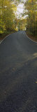 Empty Road Passing through the Forest, Michigan, USA Photographic Print by Panoramic Images