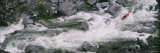 Person Kayaking on a River, Salmon River, California, USA Photographic Print by Panoramic Images 