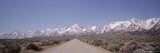 Bushes on Both Sides of a Road, Sierra Nevada, California, USA Lámina fotográfica por Panoramic Images Bushes on Both Sides of a Road, Sierra Nevada, California, USA Lámina fotográfica por Panoramic Images