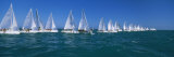 Sailboat Racing in the Ocean, Key West, Florida, USA Photographic Print by Panoramic Images 