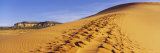 Sand Dunes in the Desert, Coral Pink Sand Dunes State Park, Utah, USA Lámina fotográfica por Panoramic Images