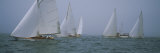 Sailboats at Regatta, Newport, Rhode Island, USA Fotografie-Druck von Panoramic Images 
