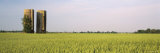 Grain Silos in a Field, Arkansas, USA Fotografie-Druck von Panoramic Images 