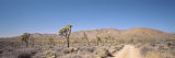 Road Passing through an Arid Landscape, Alabama Hills, Sierra Nevada, California, USA Lámina fotográfica por Panoramic Images Road Passing through an Arid Landscape, Alabama Hills, Sierra Nevada, California, USA Lámina fotográfica por Panoramic Images