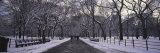 Bare Trees in a Park, Central Park, New York, USA Photographie par Panoramic Images 