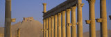 Great Colonnade, Palmyra, Syria Photographic Print by Panoramic Images 