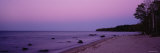 Trees on a Beach, Union Bay, Lake Superior, Upper Peninsula, Silver City, Michigan, USA Photographic Print by Panoramic Images 