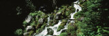 Waterfall at Grant Park, Mt. Rainier National Park, Washington, USA Photographic Print by Panoramic Images 