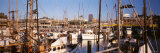 Fishermans Wharf, San Francisco, California, USA Photographic Print by Panoramic Images 