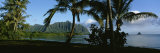 Palm Trees on the Waterfront, Kaneohe Bay, Oahu, Hawaii, USA Photographie par Panoramic Images 
