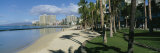 Shadow of Palm Trees on the Beach, Waikiki Beach, Waikiki, Oahu, Hawaii, USA Photographic Print by Panoramic Images 
