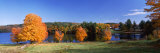 Tree in Autumn, Norway Pond, Hancock, New Hampshire, USA Photographic Print by Panoramic Images 