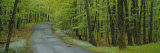 Empty Road Passing through a Forest, Peninsula State Park, Door County, Wisconsin, USA Photographic Print by Panoramic Images Empty Road Passing through a Forest, Peninsula State Park, Door County, Wisconsin, USA Photographic Print by Panoramic Images
