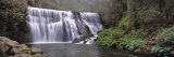 Waterfall in a Forest, Middle Falls of the Mccloud River, California, USA Photographic Print by Panoramic Images 