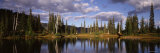 Reflection of Pine Trees in a Lake, Lake Rainier National Park, Washington, USA Photographic Print by Panoramic Images 