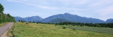 Trees along a Road, Sawtooth Mountains, New York, USA Lámina fotográfica por Panoramic Images Trees along a Road, Sawtooth Mountains, New York, USA Lámina fotográfica por Panoramic Images