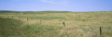 Grass on a Field, Cherry County, Nebraska, USA Lámina fotográfica por Panoramic Images
