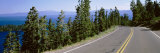 Pine Trees on Both Sides of Highway 89, Lake Tahoe, California, USA Reprodukcja zdjęcia autor Panoramic Images