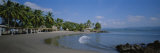 Palm Trees on the Beach, San Blas, Mexico Lámina fotográfica por Panoramic Images Palm Trees on the Beach, San Blas, Mexico Lámina fotográfica por Panoramic Images