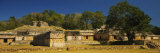 Tree in the Courtyard of a Ruined Palace, el Palacio, Labna, Mexico Photographic Print by Panoramic Images 