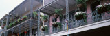 Potted Plants Hanging from Balconies, French Quarter, New Orleans, Louisiana, USA Photographic Print by Panoramic Images 