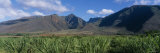 Clouds over a Sugar Cane Field, West Maui Mountains, Maui, Hawaii, USA Lámina fotográfica por Panoramic Images
