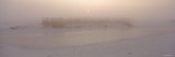 Fog over a Frozen Marshland, Lower Klamath National Wildlife Reservation, California, Oregon, USA Photographic Print by Panoramic Images 