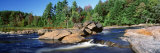 River Flowing through the Forest, Moose River, Adirondack State Park, New York, USA Photographic Print by Panoramic Images 