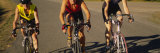 Three Women Cycling Photographic Print by Panoramic Images 