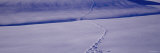 Animal Footprints on a Snow Covered Field Lámina fotográfica por Panoramic Images Animal Footprints on a Snow Covered Field Lámina fotográfica por Panoramic Images