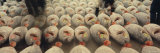 Fish in a Market, Tokyo Prefecture, Japan Photographic Print by Panoramic Images 