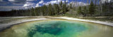 Hot Spring Pool in the Landscape, Beauty Pool, Yellowstone National Park, Wyoming, USA Photographic Print by Panoramic Images 