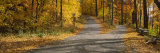Autumn Leaves on the Road, Connecticut, USA Lámina fotográfica por Panoramic Images Autumn Leaves on the Road, Connecticut, USA Lámina fotográfica por Panoramic Images